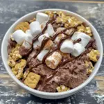 Double Chocolate Protein ;mores Bowl is the Best Protein-Packed Treat